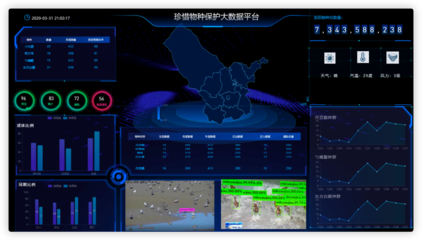 展商推介丨算丰科技 深耕人工智能芯片与产品开发，助力盐城软件产业升级